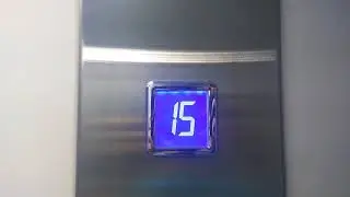 (Custom music) 2016 KMZ Lifts @ Warsaw highway, 122, Chertanovo North, Moscow, Russia