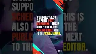 How to schedule a Post in WordPress? - Affable Studios 2022