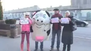 флешмоб 29 марта с Кариной Барби за закон о защите животных