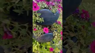 цветочная пирамида