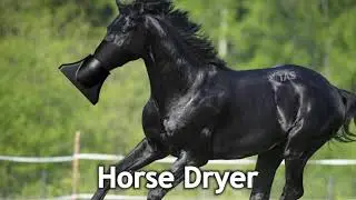 15 Hair Dryer Sound Variations in 30 Seconds #SoundVariations