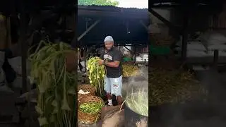 My Life in the Province in the Philippines 🇵🇭 #interview #shorts