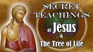 Secret Teachings of Jesus and The Tree of Life Revealed
