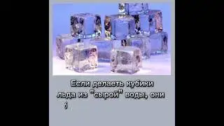 #интересные факты