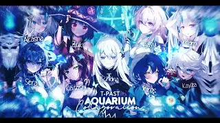 「Collaboration」Aquarium Summer 2023