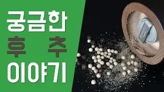 후추를 놓고 펼쳐지는 향신료무역 이야기  - 신기한 재밌는 흥미로운 궁금한 역사 세계사 이야기