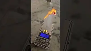 Весы с секретом!