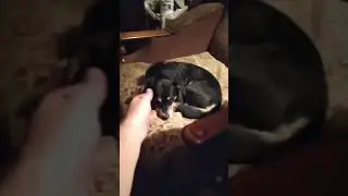 из жизни