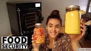 Freeze Drying Eggs Step by Step with Taste Test