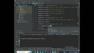 python read method