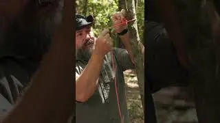 SIMPLE Way To Hang Camping Gear #survival #bushcraft #camping