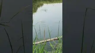 Куда-то собрался?