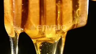 Honey Dripping and Flowing Down, on Black, Macro | Stock Footage - Envato elements