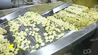 Línea De Procesamiento De Pasta De Ajo
