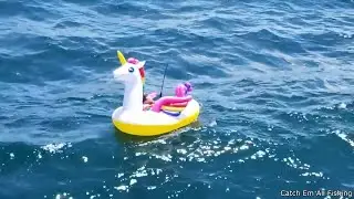 Someone trying to catch a shark on an inflatable unicorn - Compilation 1