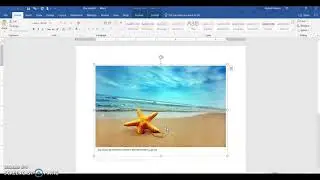 Blend Text and Images in Microsoft Word