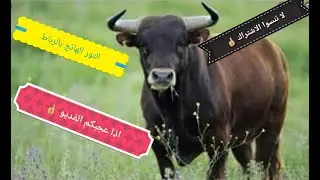 تور الرباط اليوم الجزء 5
