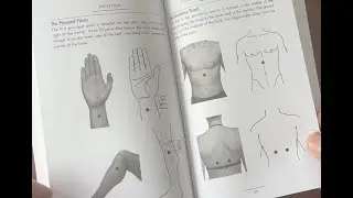 Applying Acupressure For Stomach Pain ⚕️from Acupressure Self-Care Handbook #acupressure