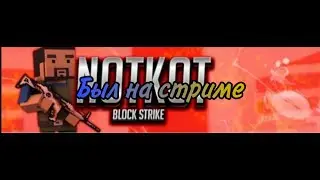 Побывал на стриме NotKot