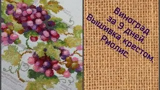 Виноград за 9 дней. Вышивка крестом. Риолис.