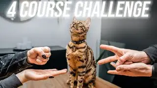 4 Course Meal CHALLENGE Tik Tok || We failed...