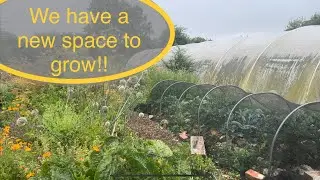 We have found a field! And it’s better than we could have imagined!