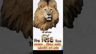 આવકાર - સિંહના મહોરા પહેરાવીને વર્ગપ્રવેશ || Aavkar || વિશ્વ સિંહ દિવસ || World Lion Day #shortsfeed