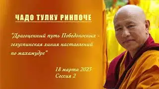 Чадо Тулку Ринпоче, 