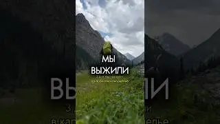 НУ И ПОГОДКА #влог #природа #блог #горы #путешествия #поход #путешествие #собака