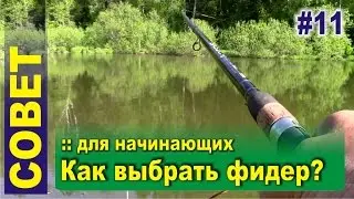 How to choose a feeder? | For beginners