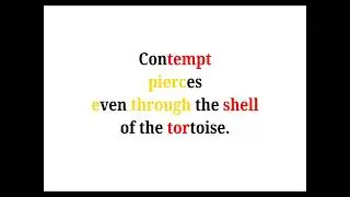 Cool Phrases - Contempt pierces even through the shell of the tortoise.