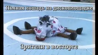 Пьяная лошадь на диско площадке девяностых  Зрители в восторге