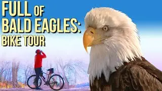 Bald Eagles Sightings at Mason Neck: Fairfax County Bicycle Trail