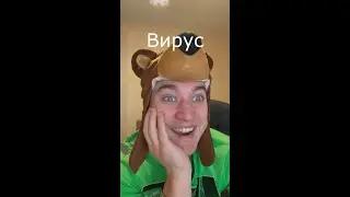Вайн / Вирус / Grey Ship
