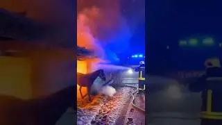 Tiere in letzter Sekunde gerettet! 🐎🔥 Scheunenbrand Eskaliert