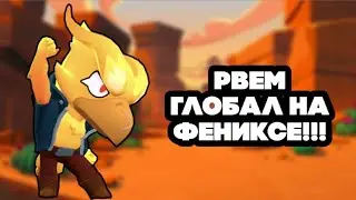 Каточки на воробушке|Brawl Stars|