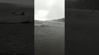 Снег в первых числах Октября