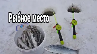 #рыбалка