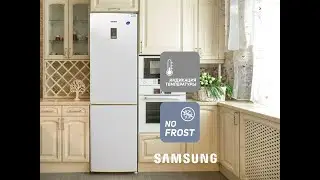 SAMSUNG RL34ECSW