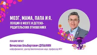 Вячеслав Дубынин. Мозг, мама, папа и я. Лекция о мозге и детско-родительских отношениях