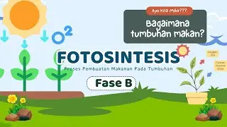 Bagaimana Tumbuhan Makan? | Fotosistensis Kelas 4 Kurikulum Merdeka