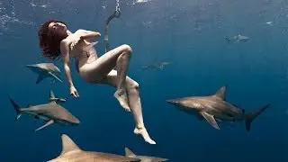 Shark Awareness Campaign: Lesley Rochat goes naked with sharks to save them