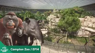 Bornean Orangutan & Lar Gibbon & Malayan Tapir & Siamang Habitat | Campton Zoo EP14 | Planet Zoo