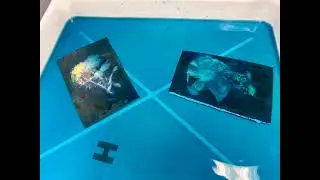 Cyanotype Workshop: Metchosin ArtPod