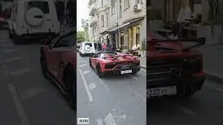 Патрики