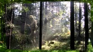 Skogsrå/Huldra/Hulder  (Music: The land of eternal winter)