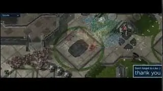 Lovebirds -- Marine Arena EU