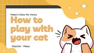 How to play wih your cat at home without toys||Techniques and tips for not getting scratches from😼||