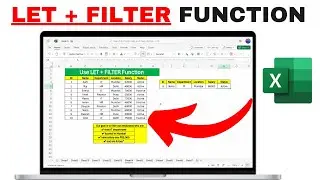 How to Use LET + FILTER Function in Excel | Real Life HR Dataset Example