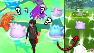 How? wild ditto on pokemon go map.